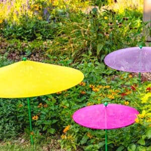 plantbrella