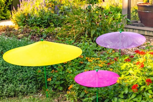 plantbrella